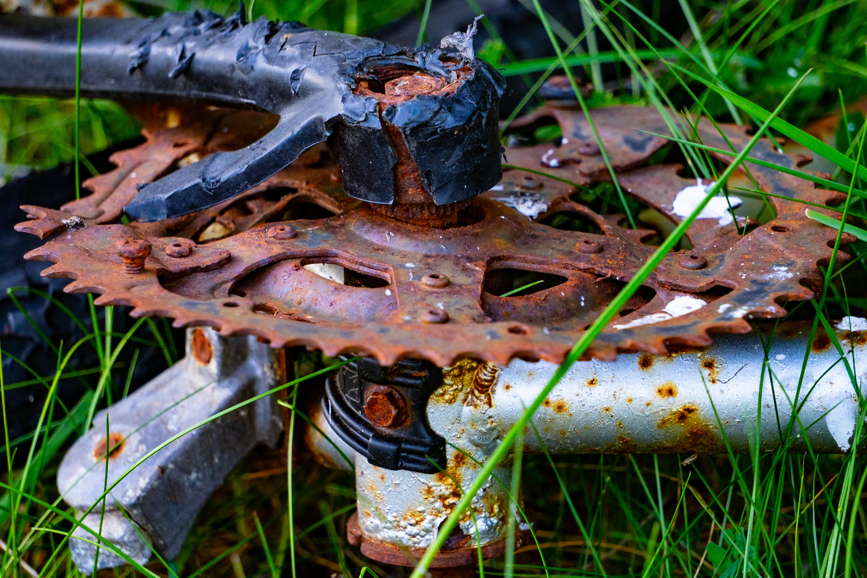 Rostiges Kettenblatt
